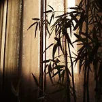Ca' Pozzo Гостевой дом 4*