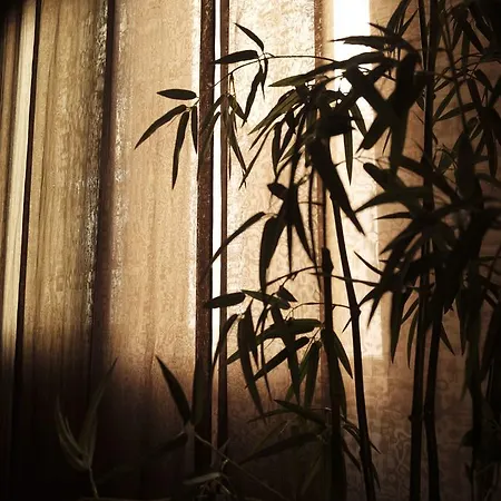 Ca' Pozzo Vendégház 4*